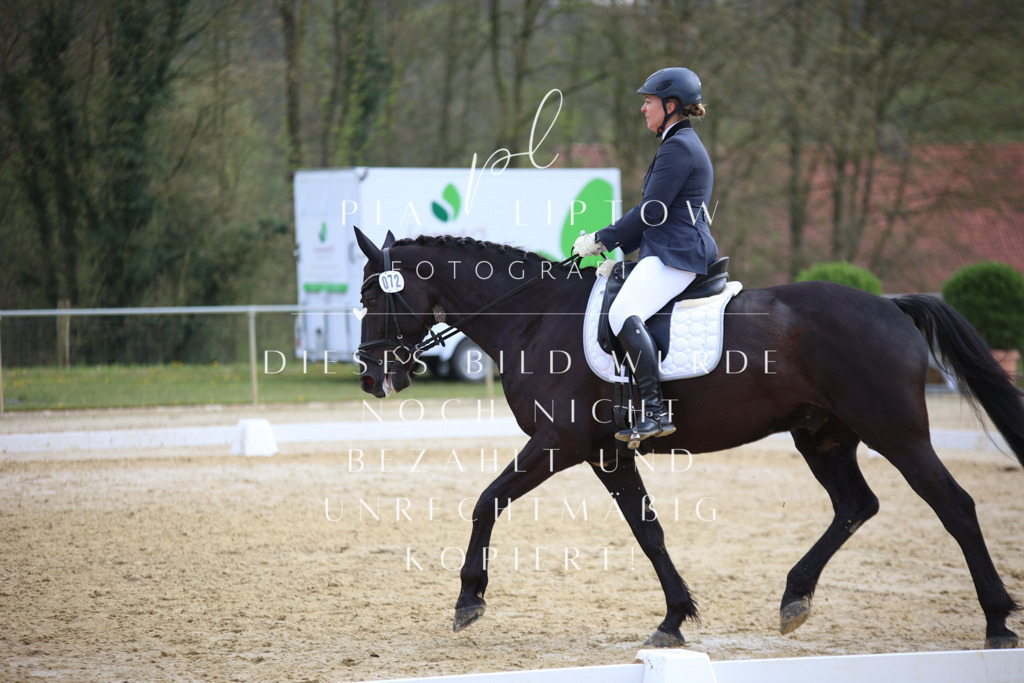 IMGT5728 | pl-fotografie