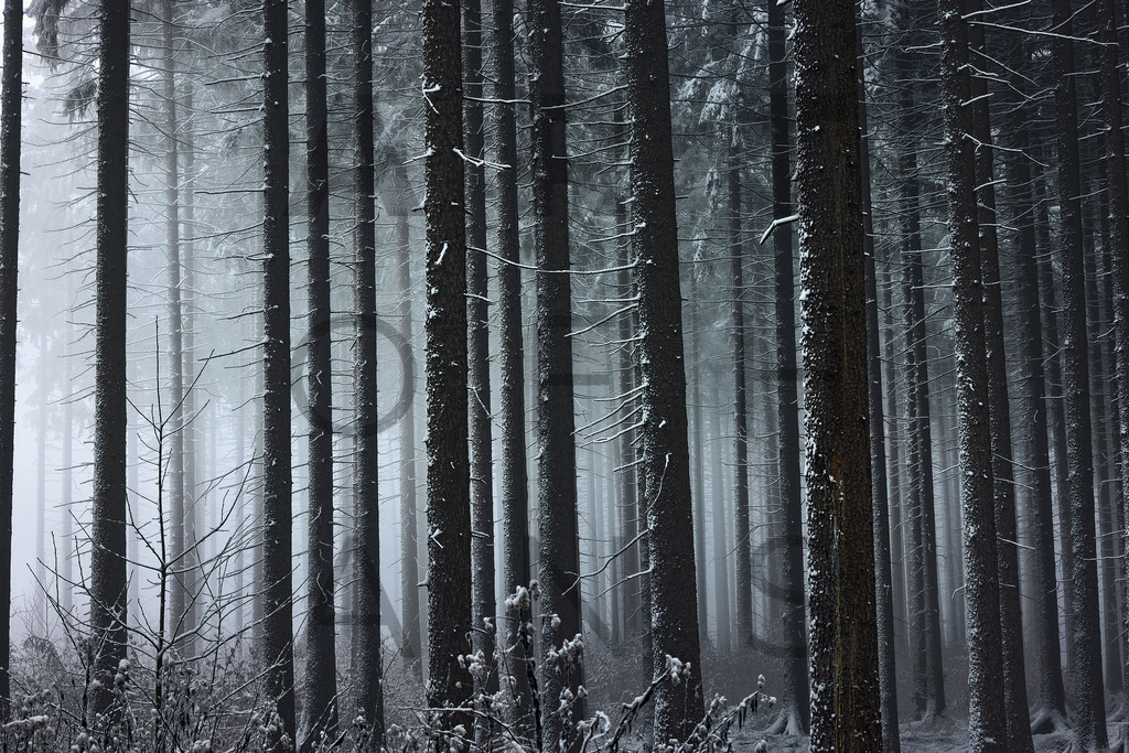 Ein Hans Fineart Original | Entdecke die Kunst von Hans Fineart - Fotografien für dein Zuhause. Verwandle deine Wände mit einzigartigen Kunstwerken und bringe die Schönheit der Welt in dein Leben. Bestelle jetzt und schaffe einen Ort der Inspiration und Eleganz.