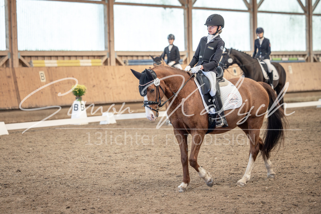 20251011-_3LI7176 | Tierfotografie Pferde, Hunde, Katzen, Haustiere.
Turnierfotografie Reitturniere, Reiten, Springreiten, Dressur in Hanau, dem Main-Kinzig-Kreis und dem Rhein-Main- Gebiet um Frankfurt