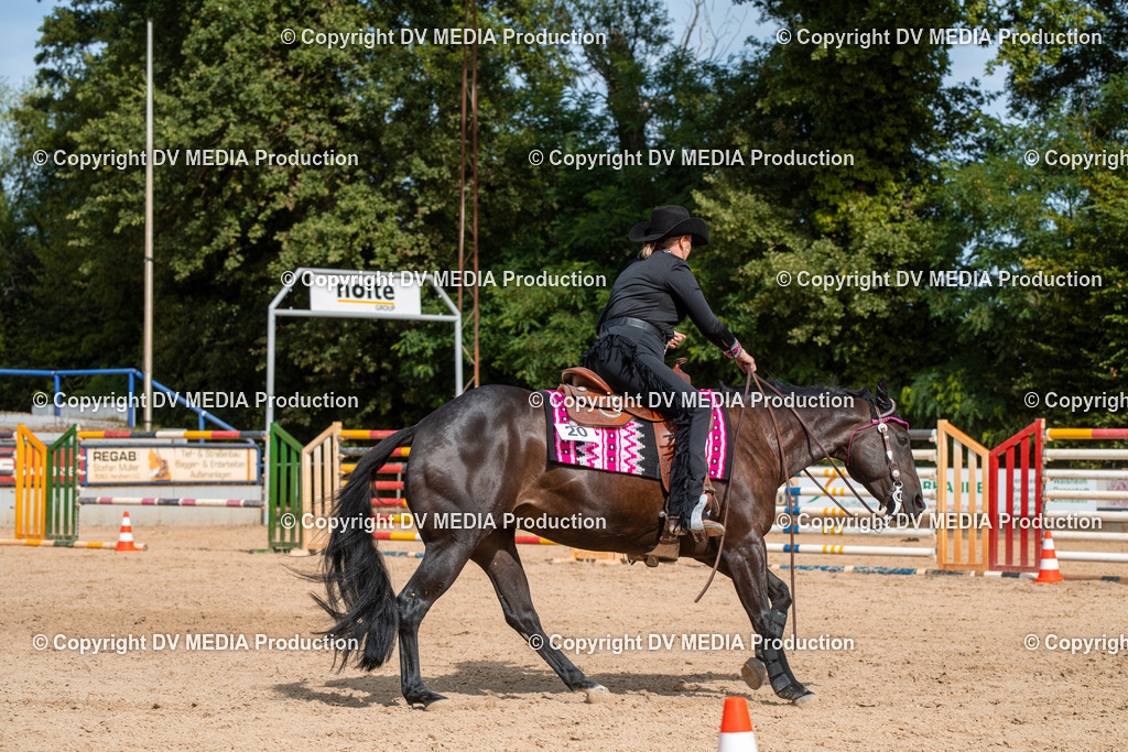 EWP_5866 | dv-media-shop - Realisiert mit Pictrs.com