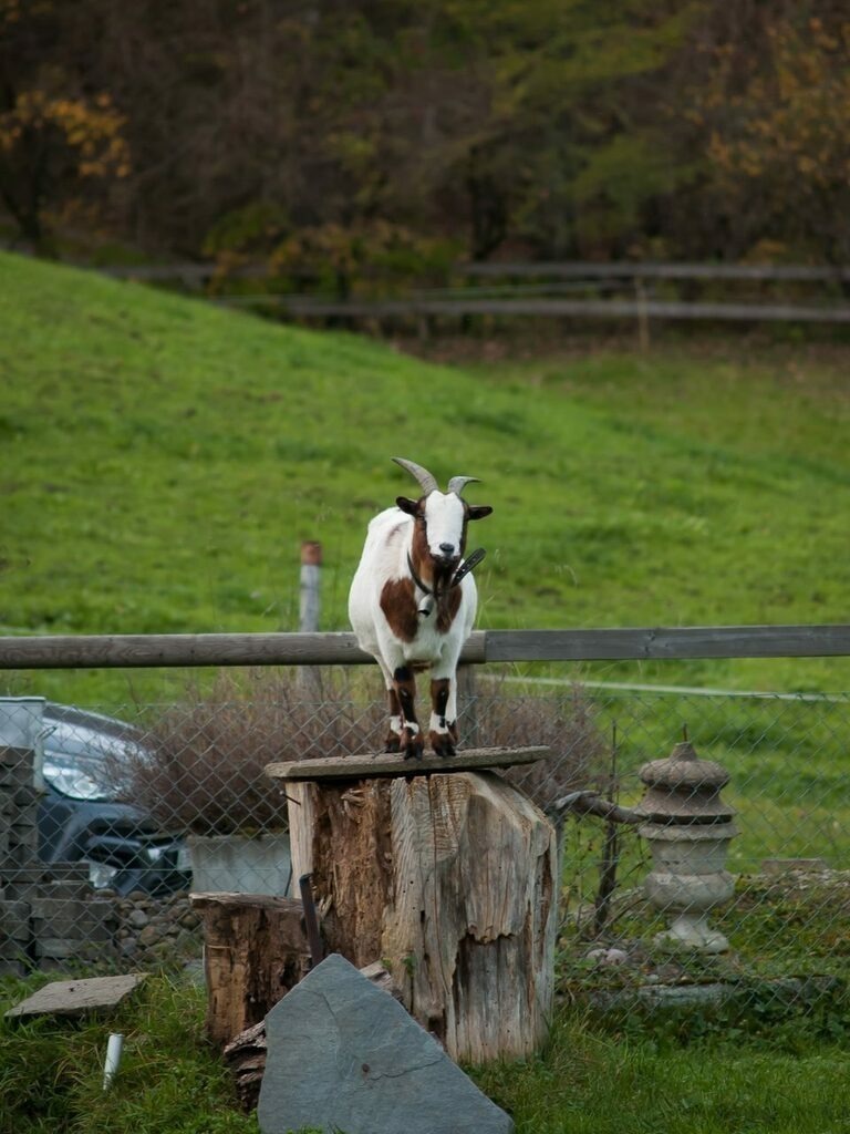 PSX_20221030_224525 | mtkfoto_ - Realisiert mit Pictrs.com