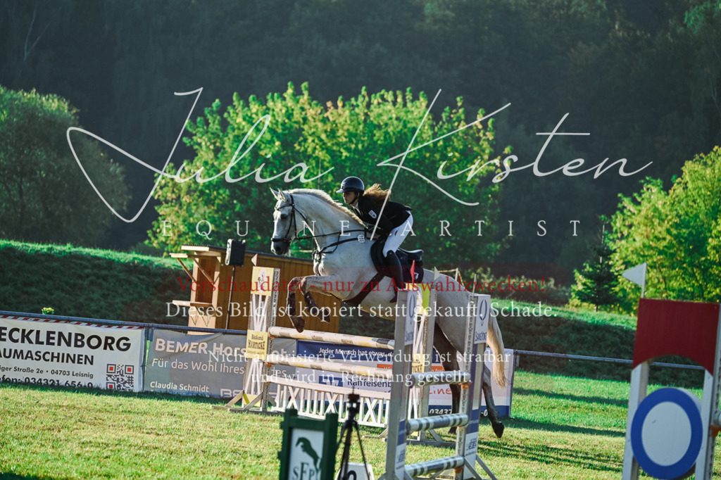 DSC_4038 | Pferde- und Turnierfotografie in Westsachsen. Pferdeportraits, Auftragszeichnungen und intuitive Kunst.