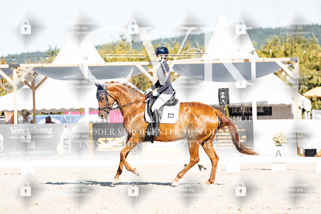CK907333 | Turnierfotografie Pferdefotografie Trier Rheinland-Pfalz Pferdesport Reitsport Tierfotografie Sportfotografie Pferdevideo Pferdevideografie Equestrianvideography equestrianphotography  - Realisiert mit Pictrs.com