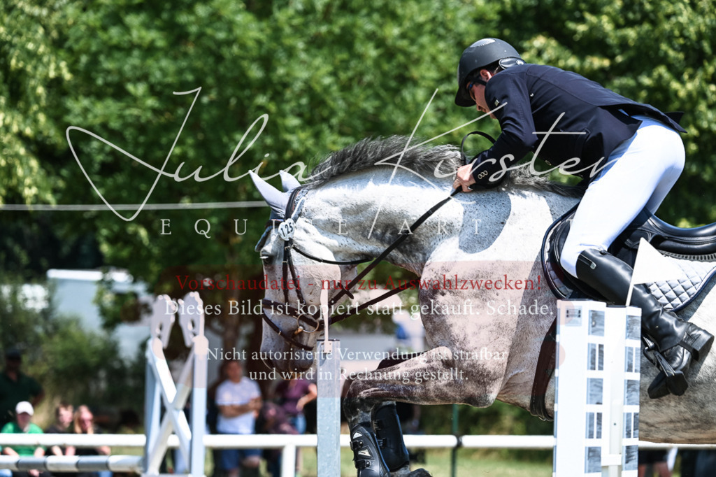 DSC_0028 | Pferde- und Turnierfotografie in Westsachsen. Pferdeportraits, Auftragszeichnungen und intuitive Kunst.