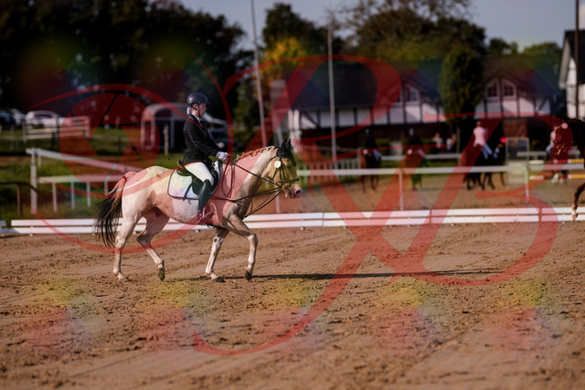 2026_10_03_Siefer-Hof_114906_Z81_88450987 | Professionelle Reitsport-, Turnier- und Eventfotografie von Robert Broda. Galerien mit ausgewählten und bearbeiteten Bildern direkt online ansehen und bestellen.