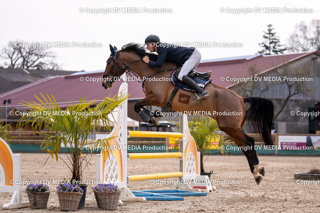 Kranichstein Tag 2-1667 | dv-media-shop - Realisiert mit Pictrs.com