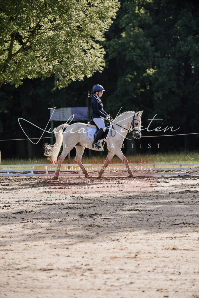 DSC_7900 | Pferde- und Turnierfotografie in Westsachsen. Pferdeportraits, Auftragszeichnungen und intuitive Kunst.