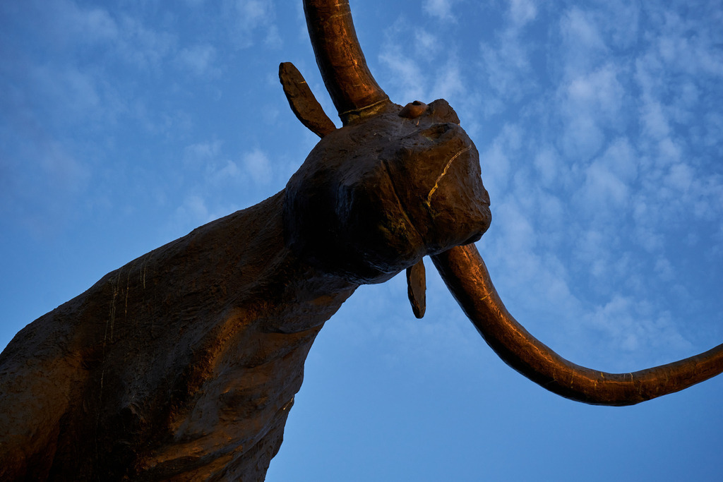 Der Auerochse von Rakvere im Abendlicht | Rakvere, Estland - August 23, 2022: Der Auerochse von Rakvere im Abendlicht - Realisiert mit Pictrs.com