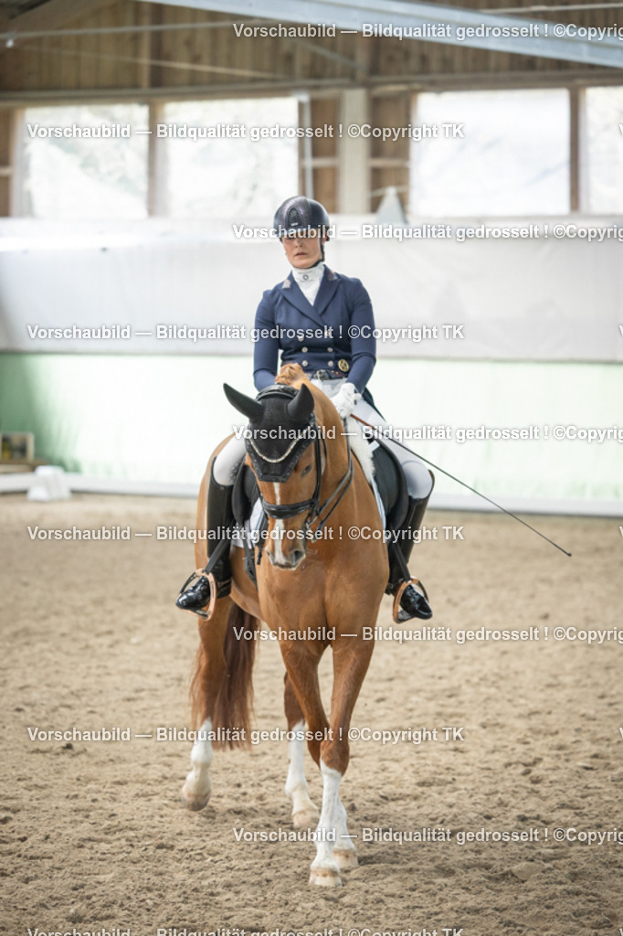 _D5A5284 | Emotionale Pferde- & People-Fotografie rund um Heidelberg, Leimen & Umgebung. Natürliche Fotos von Pferd, Mensch & Familie. Jetzt Termin sichern!