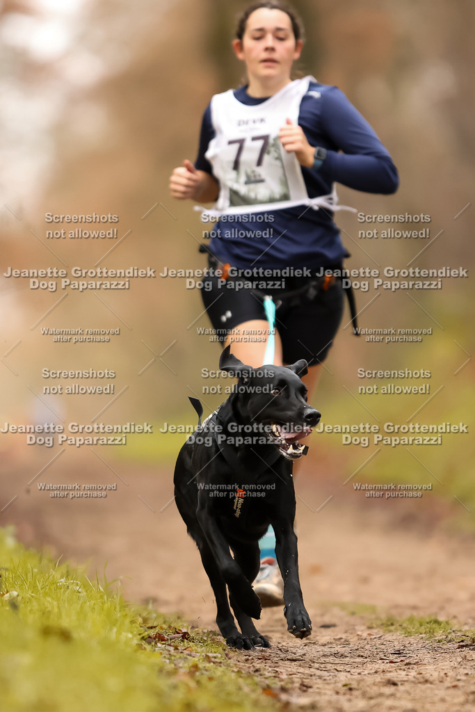 Dog Paparazzi - Speedhunter Mannheim  2025-221 | Dog Paparazzi Jeanette Grottendiek Fotografie & Videografie