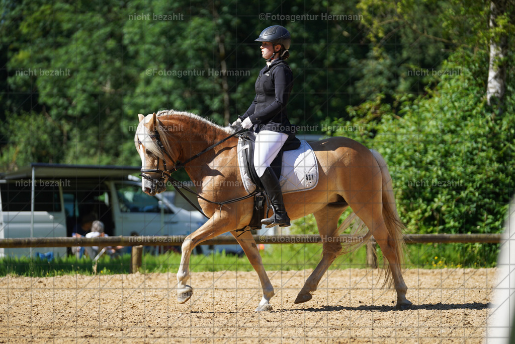 20240706-FAH04764 | Grafing Turnierfotos, Reitverein Ebersberg, Turnierfotografen Bayern, reitsportbilder, Pferdefotograf, reitsportfotograf, Sportbilder, Reitsportfotografie, Fotoagentur Herrmann, Turnierfotograf