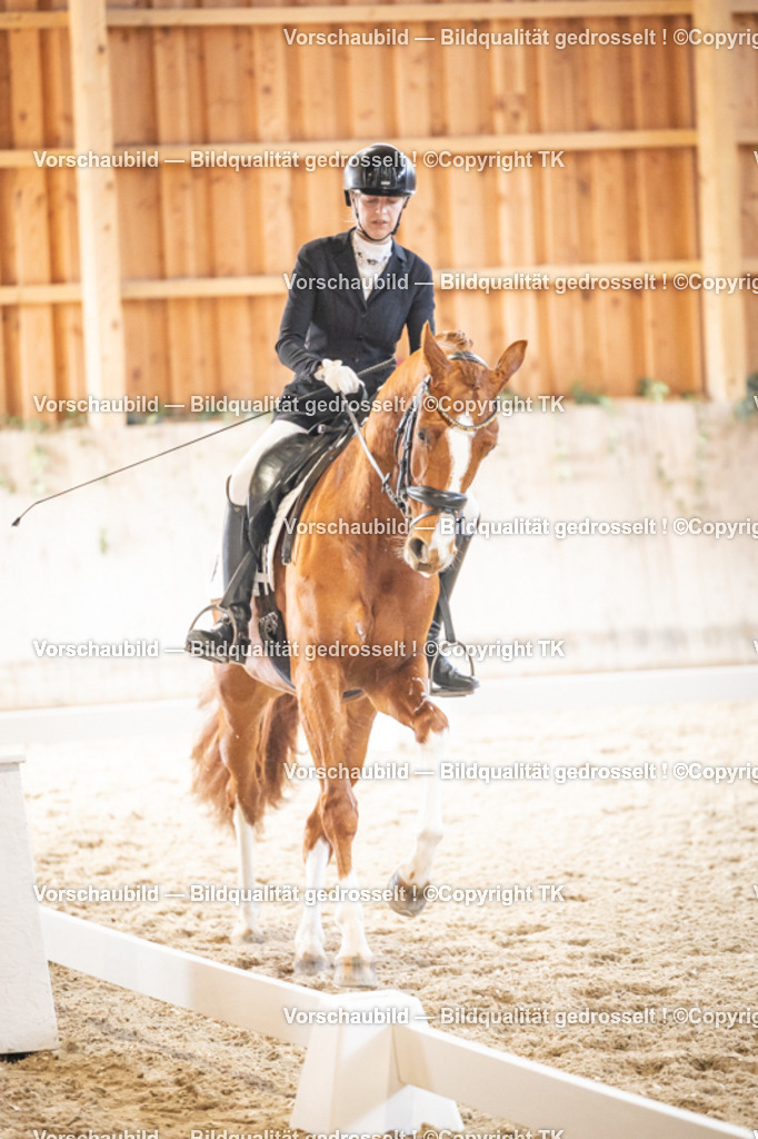 _D5A8622 | Emotionale Pferde- & People-Fotografie rund um Heidelberg, Leimen & Umgebung. Natürliche Fotos von Pferd, Mensch & Familie. Jetzt Termin sichern!