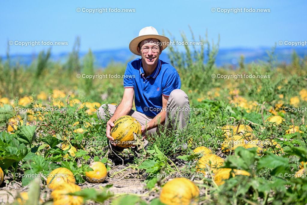 Landwirtschaft_ Gemuesebauer Spiesmayr_ 05.09.2023-4 | 05.09.2023, Wilhering, AUT, Landwirtschaft, Gemuesebauer Spiesmayr in Appersberg, im Bild Klaus Mayr