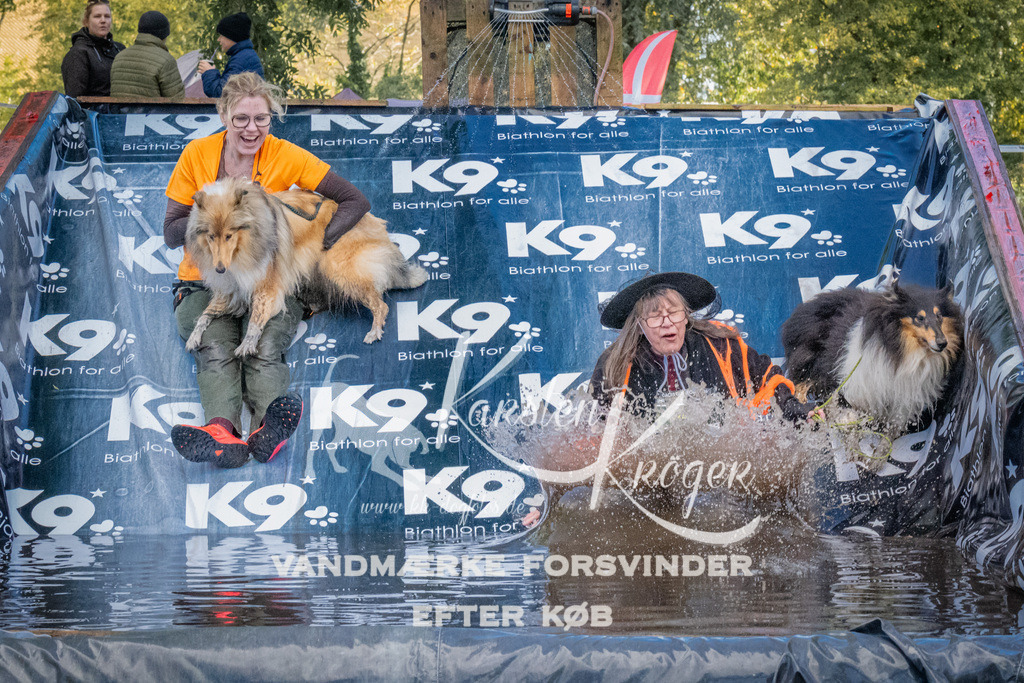 1557_ZZ91547 | kk-dogfotos