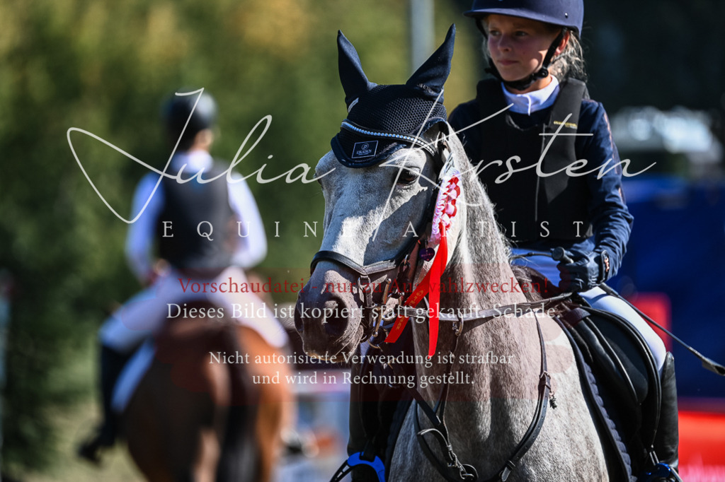 DSC_7028 | Pferde- und Turnierfotografie in Westsachsen. Pferdeportraits, Auftragszeichnungen und intuitive Kunst.