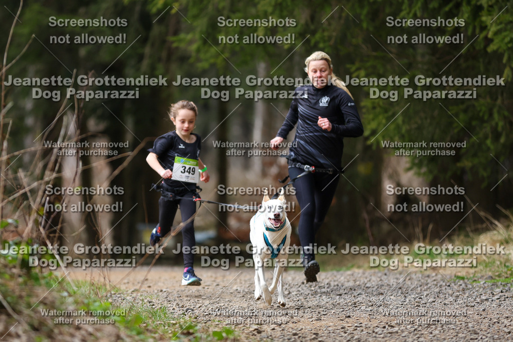 Dog Paparazzi - VCC26-615 | Dog Paparazzi Jeanette Grottendiek Fotografie & Videografie - Realisiert mit Pictrs.com
