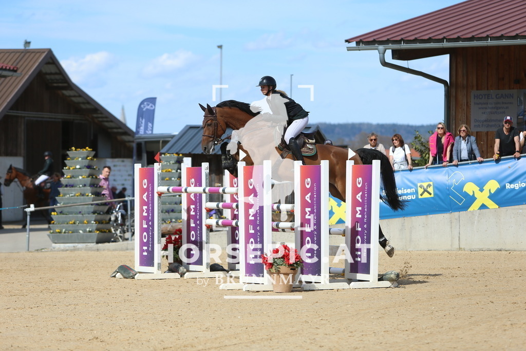 DL2Q6146 | Willkommen bei Brunnmayr - Design & Fotografie – Ihrem Spezialisten für Reitturniere und Pferdeveranstaltungen in Oberösterreich, Salzburg und Bayern! Seit über 17 Jahren sind wir leidenschaftlich dabei.