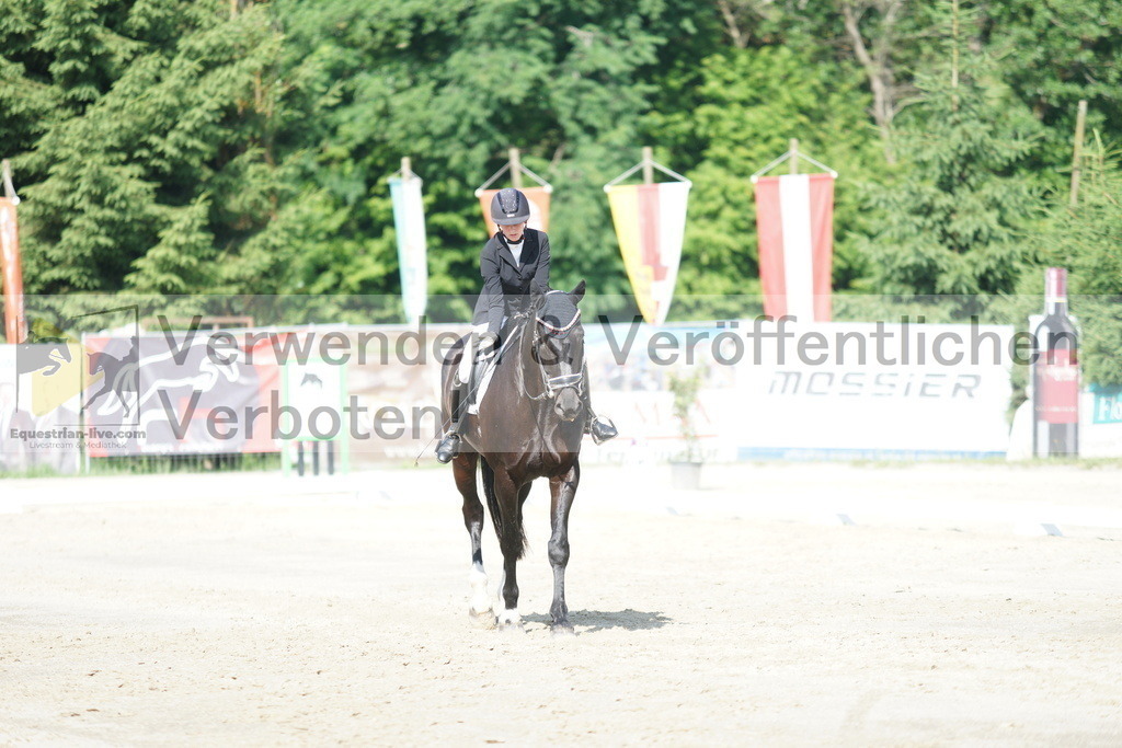 DSC04511 | equestrian-live-com
