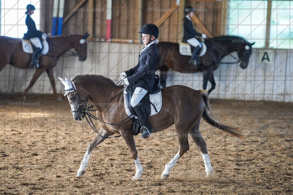 20230916-FAH08698 | Landsberg am Lech 2023, Turnierbildern, Turnierbilder Bayern, Reitsportfotograf, Pferdefotograf Bayern, Turnierfotos Landsberg, Fotoagentur Herrmann, Turnierfotografen Bayern