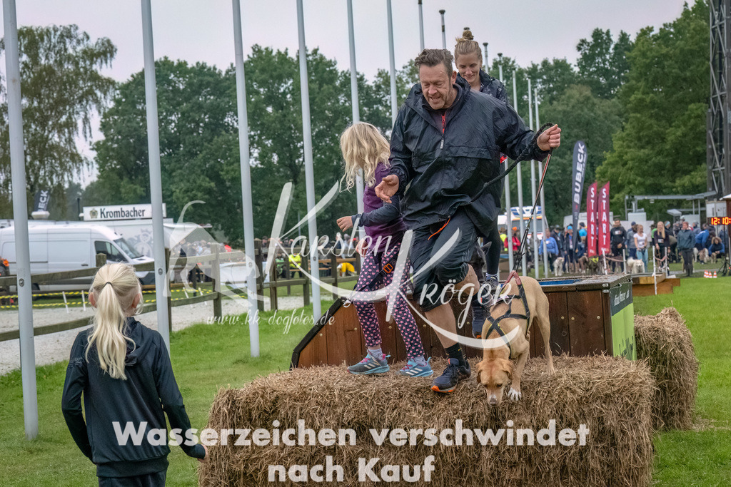 1211--9 | kk-dogfotos