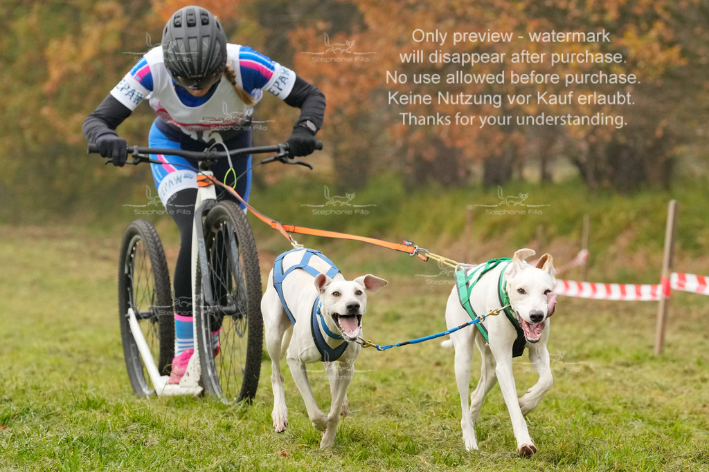 AusschnitteSa-172 | stephaniefillaphotographie - Realisiert mit Pictrs.com