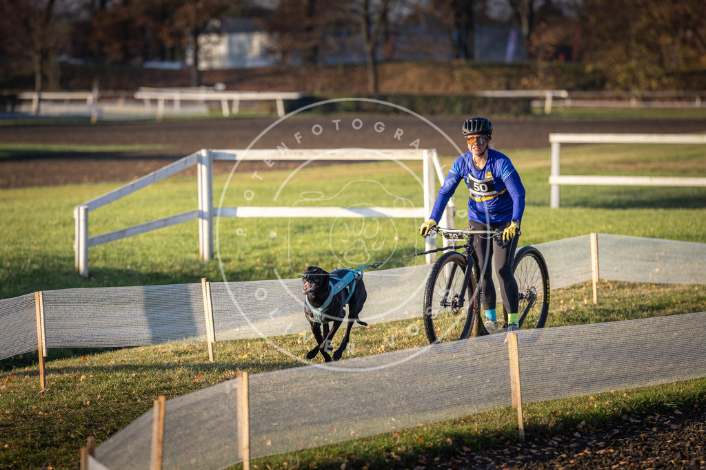 CaniXpix_DV3A0534 | Hundefotografie, Tierfotograf, Pfotenfotografie, Fotoshooting Hund, Hunde Portrait, Hundesport, Hundeportraits, Heideshooting, Hunde, Sportfotograf, Hundefotograf, Turnierhundsport, THS,  - Realisiert mit Pictrs.com