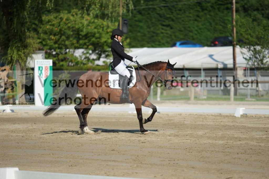 DSC04086 | equestrian-live-com