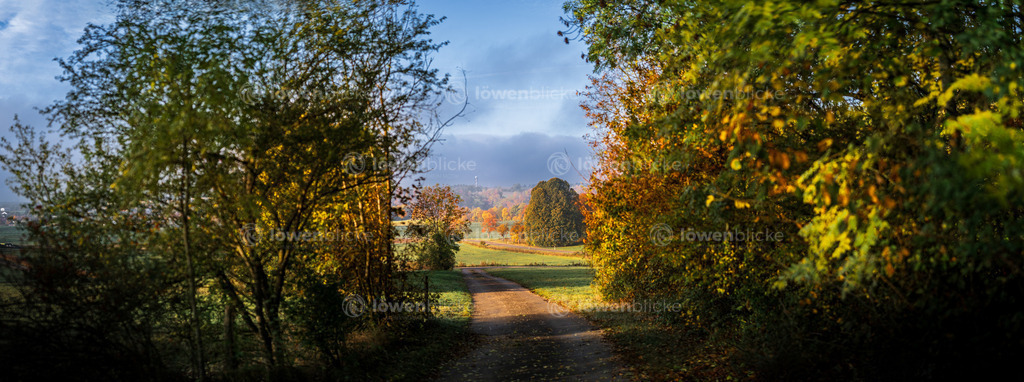 Hebst bei Türkheim | löwenblicke | shop