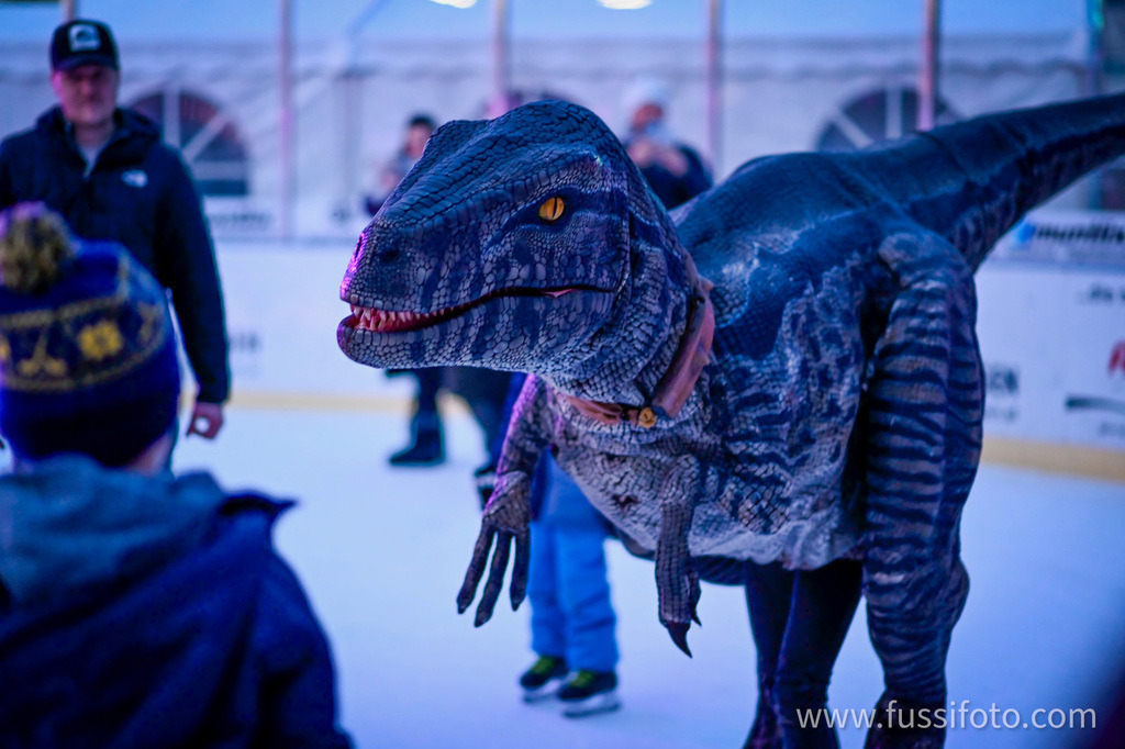 IMG_0067 | "Fussifoto.com – Ihr Ansprechpartner für hochwertige Fotografie! Entdecken Sie kreative Bilder und professionelle Dienstleistungen. Kontaktieren Sie uns für Ihre Projekte!"