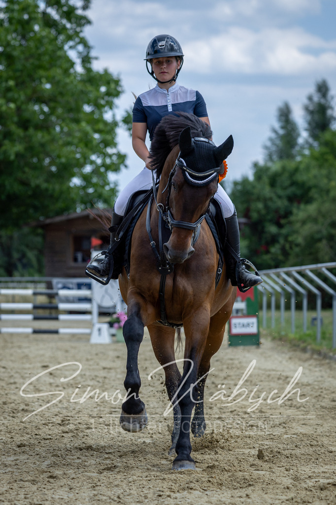 20260704-_3LI1223 | Tierfotografie Pferde, Hunde, Katzen, Haustiere.
Turnierfotografie Reitturniere, Reiten, Springreiten, Dressur in Hanau, dem Main-Kinzig-Kreis und dem Rhein-Main- Gebiet um Frankfurt