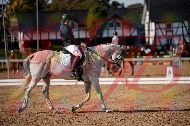 2026_10_03_Siefer-Hof_122839_Z63_49057161 | Professionelle Reitsport-, Turnier- und Eventfotografie von Robert Broda. Galerien mit ausgewählten und bearbeiteten Bildern direkt online ansehen und bestellen.