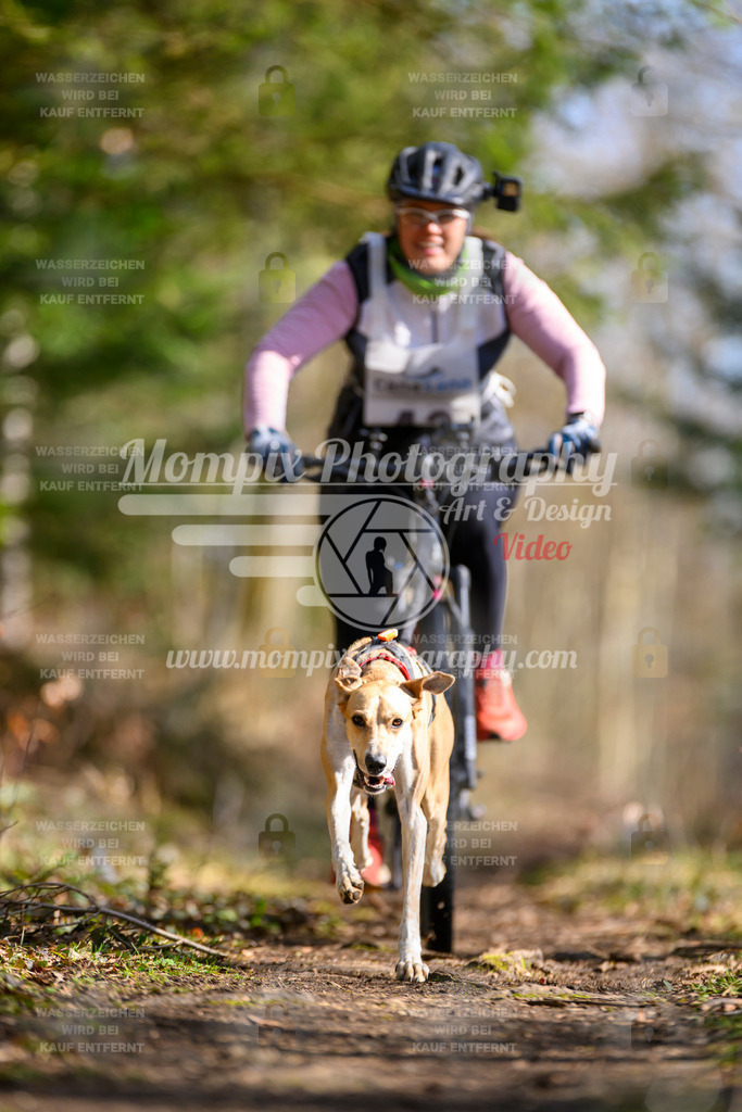 MompixPhotography_ReiatRennen2024_Bike1H-37 | PayLife