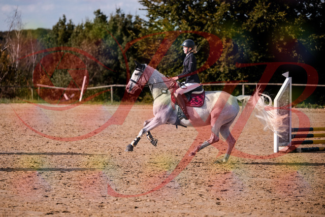 2026_10_03_Siefer-Hof_155126_Z81_70221088 | Professionelle Reitsport-, Turnier- und Eventfotografie von Robert Broda. Galerien mit ausgewählten und bearbeiteten Bildern direkt online ansehen und bestellen.