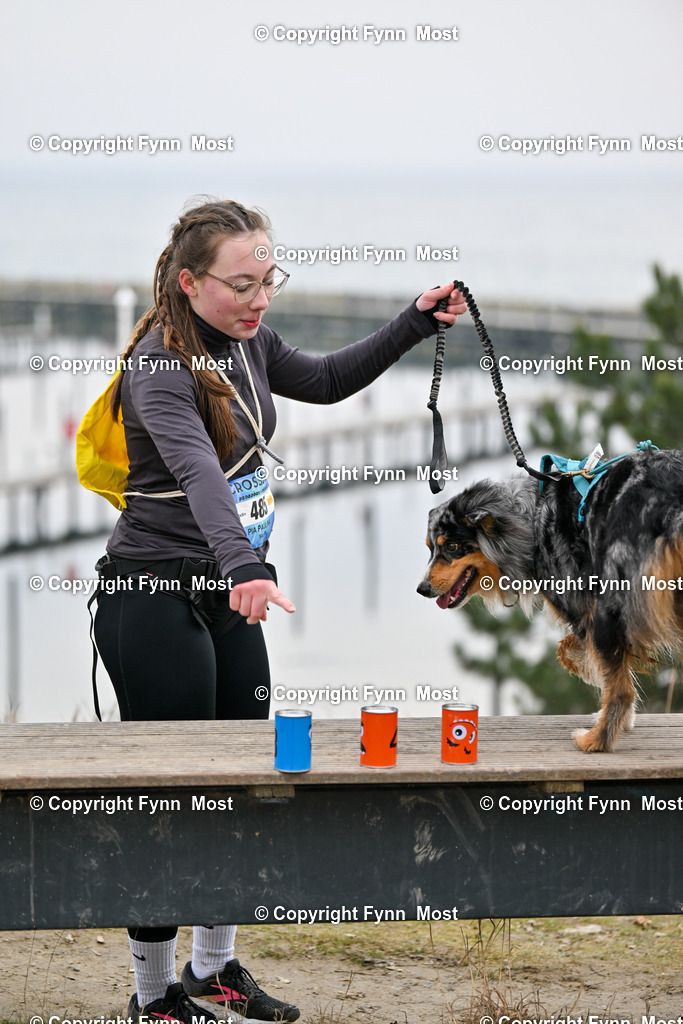 DSC_3387 | Hallo und herzlich Willkommen auf meiner Shop-Seite Fynn Most.

Ich wünsche Dir viel Spaß beim stöbern durch die Bilder, wenn Du Fragen hast oder Bilder vermisst, kannst du mir gerne eine Nachricht schreiben. - Realisiert mit Pictrs.com