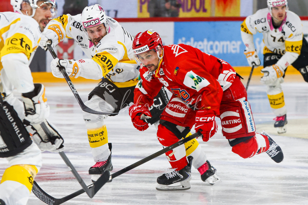 EHCB vs HCA 20260127_wb-9155 | Sportbilder, Sportfotograf, Hochzeits- und Eventfotografin, Flugshows, Portraits und Tiershooting, Aviation, Downhill, Nationalleague, Swissleague, International