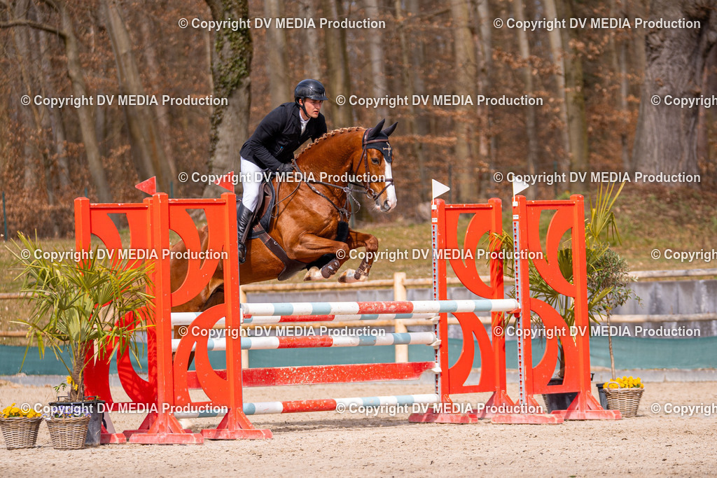 Kranichstein Tag 1-614 | dv-media-shop - Realisiert mit Pictrs.com