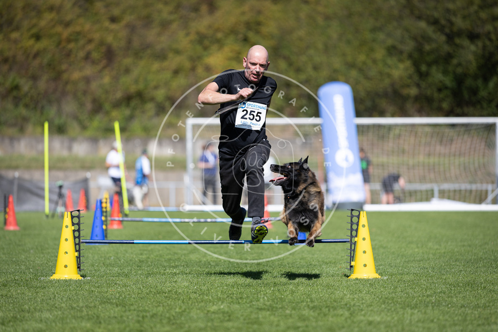 Pfotenfotografie_DV3A6341 | Hundefotografie, Tierfotograf, Pfotenfotografie, Fotoshooting Hund, Hunde Portrait, Hundesport, Hundeportraits, Heideshooting, Hunde, Sportfotograf, Hundefotograf, Turnierhundsport, THS,  - Realisiert mit Pictrs.com