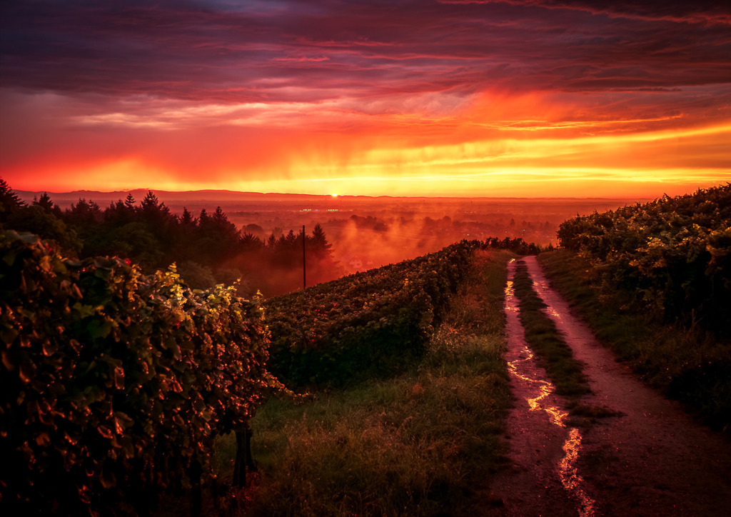 MPI_Sunset_0018 | Mystische Abendstimmung über der Rheinebene in Bottenau - Realisiert mit Pictrs.com