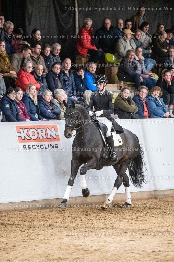 20260307_Hengstvorstellung-Marbach_0479 | equistock