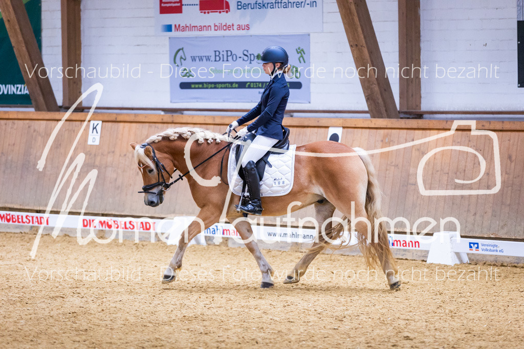 Sth-A-Dre-2St-033 | MomenTaufnahmen Pferdesportfotos