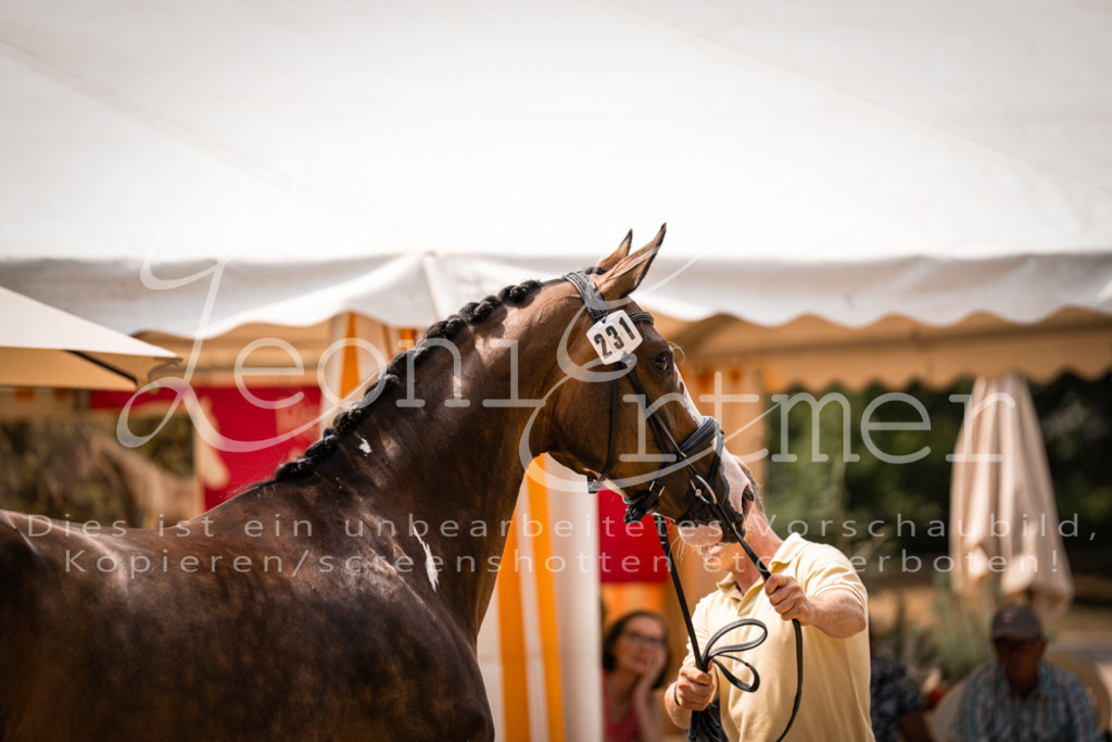 2. Fr00157 | Leoni Ertmer Photography - Realisiert mit Pictrs.com