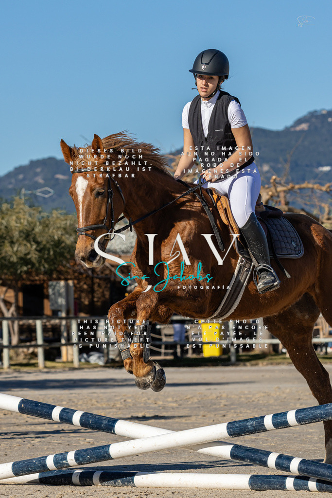 IMG_7907 | s-jay-photography - Realisiert mit Pictrs.com