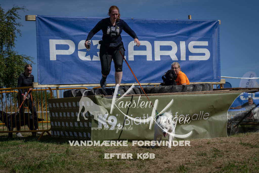 1202_ZZ93403 | kk-dogfotos