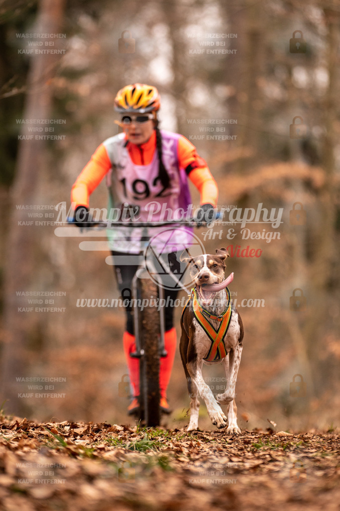AKM_ST_2023_SAM_Scooter-77 | PayLife