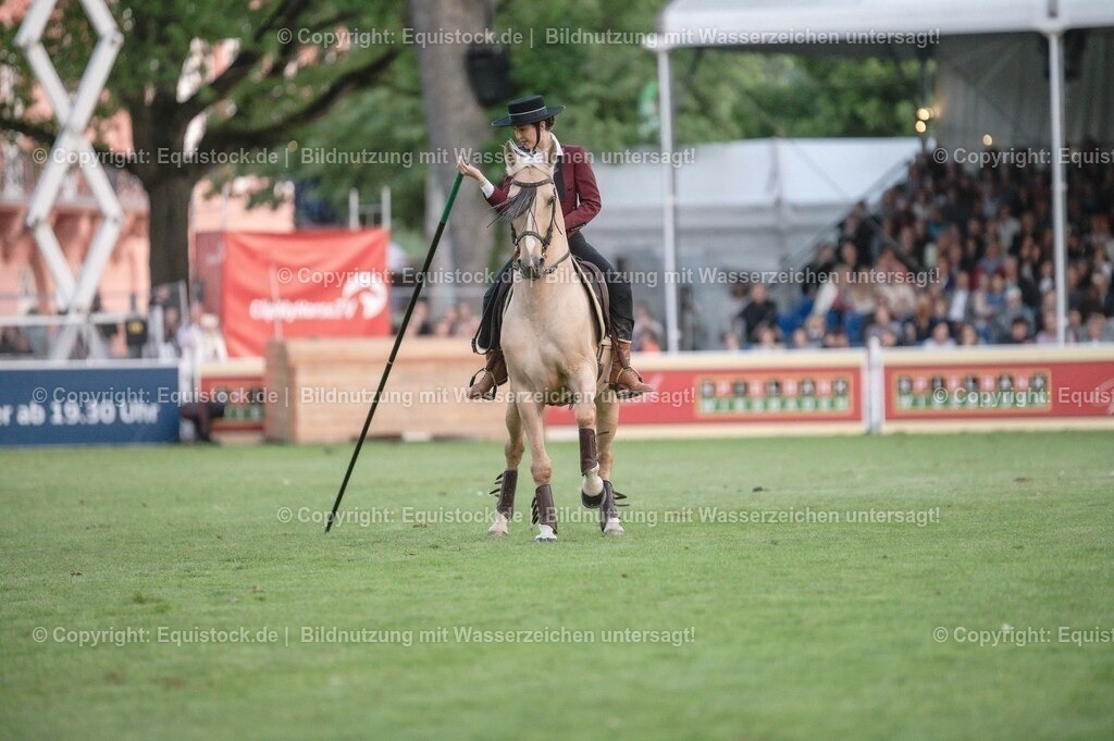 20230526_Pferdenacht_0701 | equistock