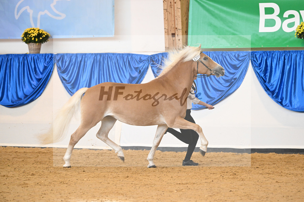Kat-Nr. 260 Okara_Kargel_54223156 | hf-fotografie - Realisiert mit Pictrs.com