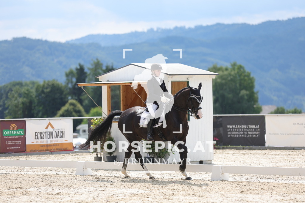 0P6A9405 | Willkommen bei Brunnmayr - Design & Fotografie – Ihrem Spezialisten für Reitturniere und Pferdeveranstaltungen in Oberösterreich, Salzburg und Bayern! Seit über 17 Jahren sind wir leidenschaftlich dabei.