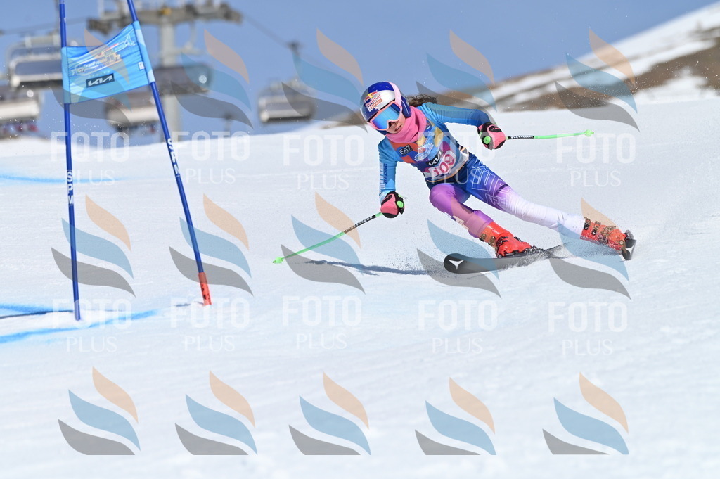 BGV_9618 | holidayphoto