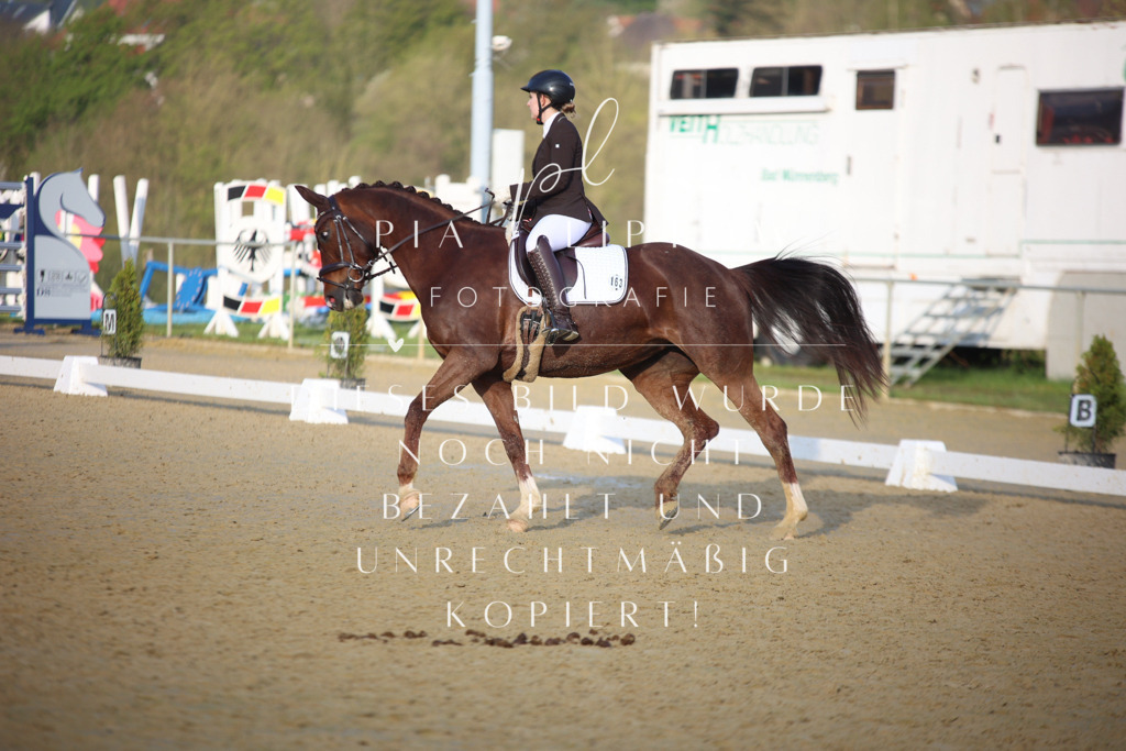 IMGT9119 | pl-fotografie