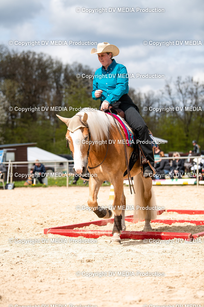 Heiligenwald Tag 1-745 | dv-media-shop - Realisiert mit Pictrs.com